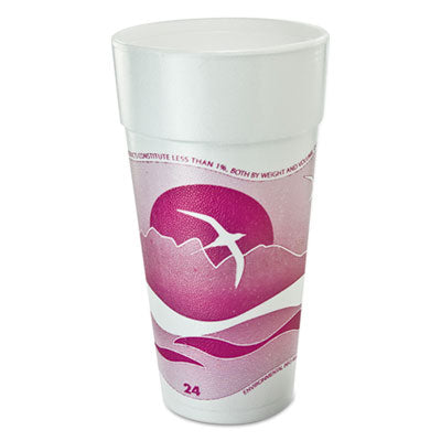 CUP,24OZ,FM,HORIZN,25/20