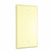 Stndrd Wallplate 1-Gang Blank Ivry Smth