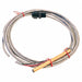 Water Temperature Sensor