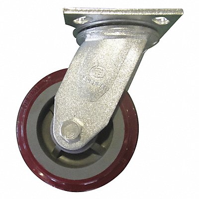 Swivel Caster