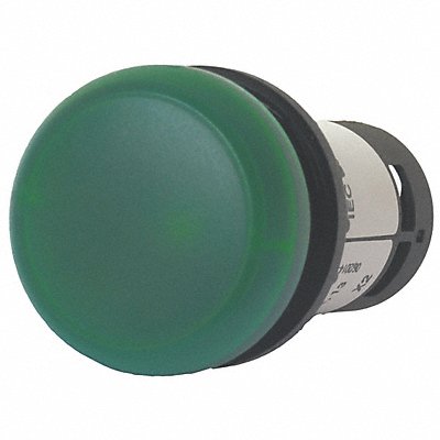 Raised Indicator Light Green 120VAC