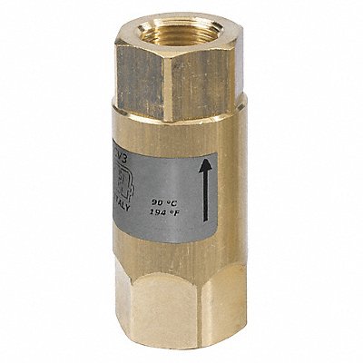 Spring Check Valve Brass Buna SS 1/2 