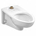 Toilet Bowl Elongated Wall Flush Valve