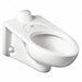 Bedpan Holding ToiletBowl Elongated Wall