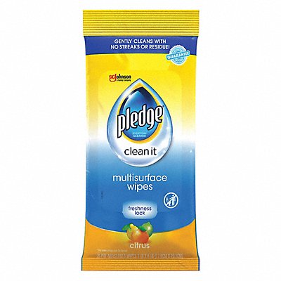 MultiPurposeCleaningWipe 10x7 25ct PK12