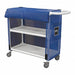 PVC Linen Cart Blue 300 lb.