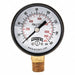 J1379 Gauge Pressure 0 to 160 psi 2 in