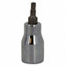 Socket Bit Steel 3/8 in TpSz T50