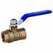 Brass Ball Valve Inline FNPT 1 