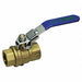 Brass Ball Valve Inline FNPT 1/2 in