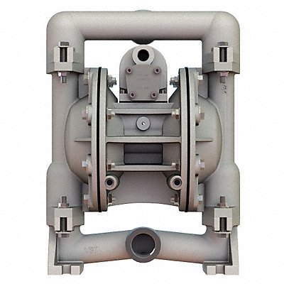 Dbl DiaphPmp NPT PTFE/SSteel 3/8in 49gpm