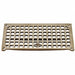 Sanitary Drains Grate