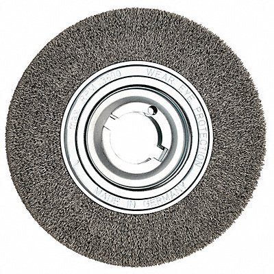 Steel Wire Brush 1-3/8 in Dia