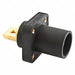 Receptacle Double Set Male Blk Taper