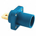 Receptacle Double Set Screw Blue Male