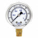 Pressure Gauge 1/4 in NPT 2 in