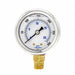 Pressure Gauge 1/4 in NPT 2 in