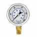 Pressure Gauge 1/4 in NPT 2 in