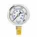 Pressure Gauge 1/4 in NPT 2 in