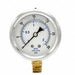 Pressure Gauge 1/4 in NPT 2-1/2 in