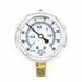 Compound Gauge 1/4 in NPT 2-1/2 in