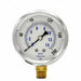 Pressure Gauge 1/4 in NPT 2-1/2 in