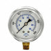 Pressure Gauge 1/4 in NPT 2-1/2 in