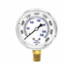 Pressure Gauge 1/4 in NPT 2-1/2 in