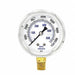 Pressure Gauge 1/4 in NPT 2-1/2 in