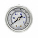 Pressure Gauge 1/4 in NPT 2 in