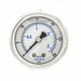 Pressure Gauge 1/4 in NPT 2 in