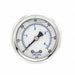 Pressure Gauge 1/8 in NPT 2 in