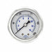 Pressure Gauge 1/8 in NPT 2 in
