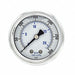 Pressure Gauge 1/8 in NPT 2 in