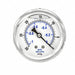 Vacuum Gauge 1/4 in NPT 2-1/2 in