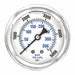 Pressure Gauge 1/4 in NPT 2-1/2 in