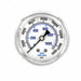 Pressure Gauge 1/4 in NPT 2-1/2 in