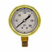 Pressure Gauge 1/4 in NPT 2-1/2 in