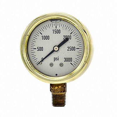 Pressure Gauge 1/4 in NPT 2-1/2 in