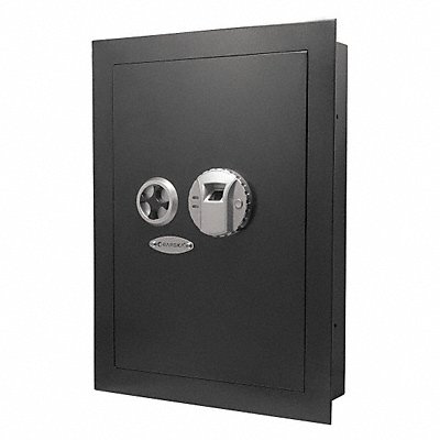 Biometric Wall Safe