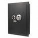 Biometric Wall Safe