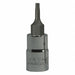 Socket Bit Steel 1/4 in TpSz T8