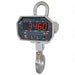 Crane Scales and Dynamometers