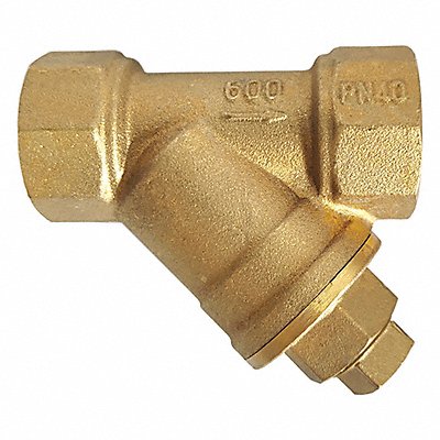 Y Strainers