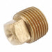 Square Head Plug Brass 1/2 in MNPT