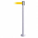 Fixed Barrier Post with Belt 7-1/2 ft L