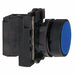 Non-Illuminated Push Button 22mm Plastic