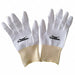 Coated Gloves XL PR