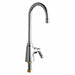 Gooseneck Chrome Chicago Faucets 350