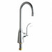 Single Supply Sink Faucet